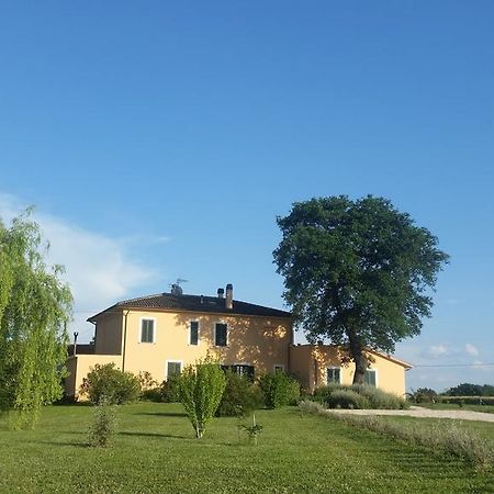 ספלו B&B Le Rose מראה חיצוני תמונה