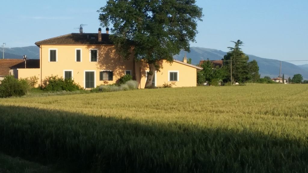 ספלו B&B Le Rose מראה חיצוני תמונה