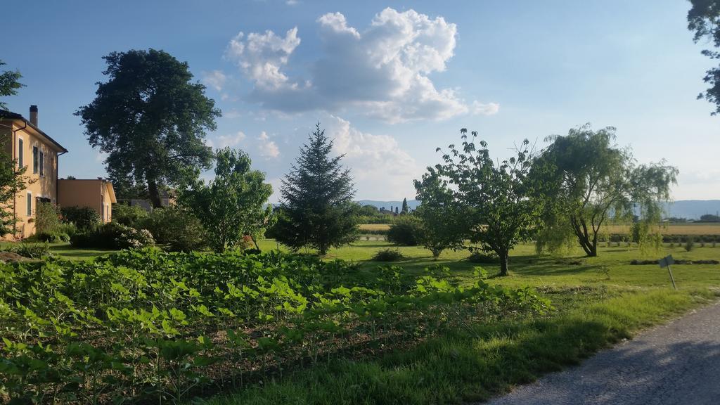 ספלו B&B Le Rose מראה חיצוני תמונה