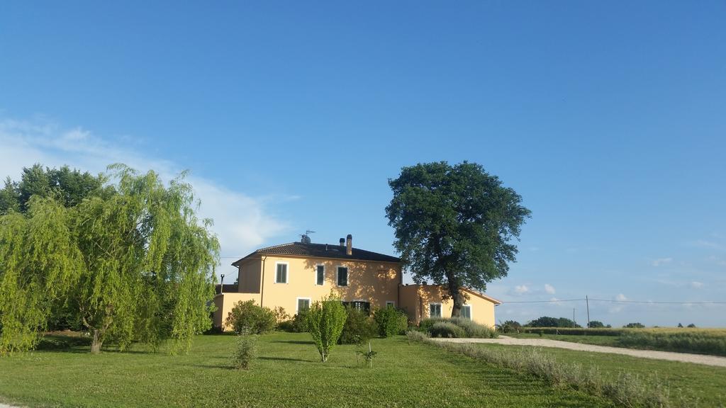 ספלו B&B Le Rose מראה חיצוני תמונה